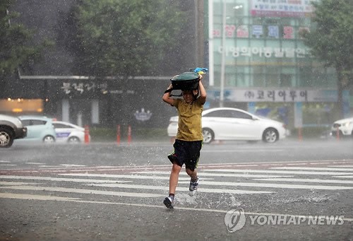 韓國(guó)大田突降暴雨 全州益山冰雹如豆（組圖）