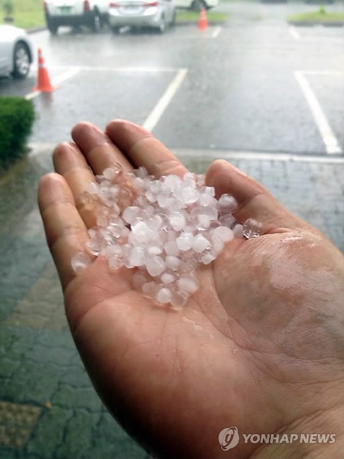 韓國大田突降暴雨 全州益山冰雹如豆（組圖）