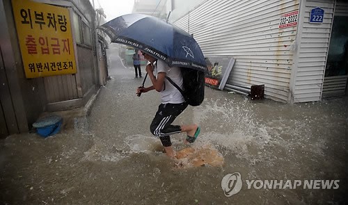 韓國(guó)大田突降暴雨 全州益山冰雹如豆（組圖）