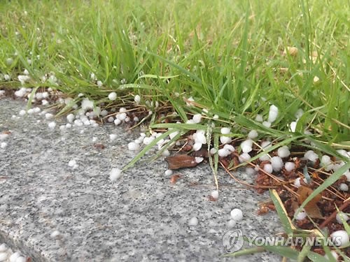 韓國大田突降暴雨 全州益山冰雹如豆（組圖）