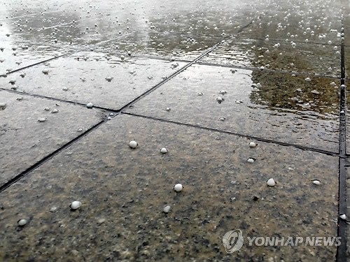 韓國(guó)大田突降暴雨 全州益山冰雹如豆（組圖）