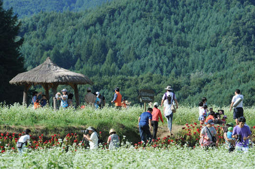 韓國優(yōu)秀慶典之平昌“孝石文化節(jié)”