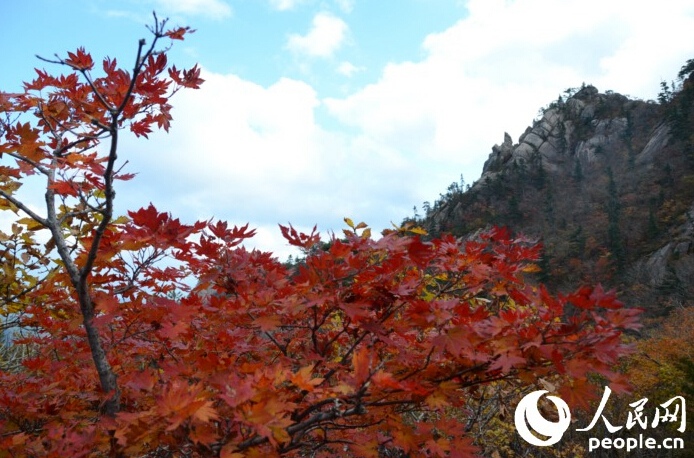 中國游客大贊韓國景區(qū)票價“實惠”