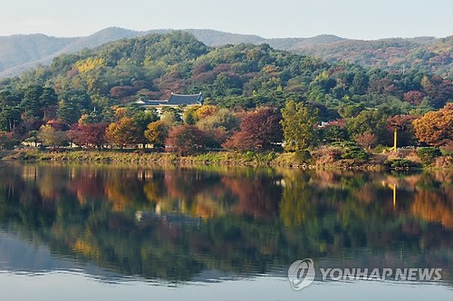 疊翠流金 層林盡染【組圖】