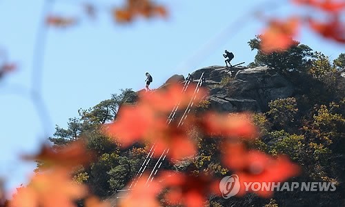 疊翠流金 層林盡染【組圖】