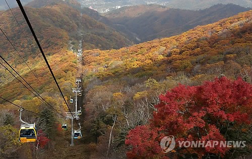 疊翠流金 層林盡染【組圖】