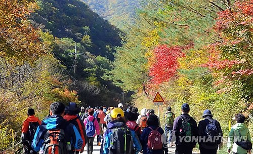 疊翠流金 層林盡染【組圖】