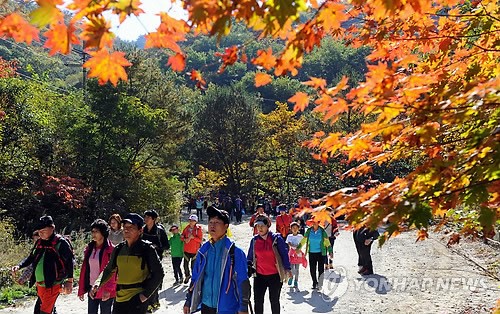 疊翠流金 層林盡染【組圖】