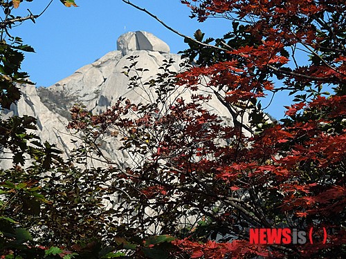 疊翠流金 層林盡染【組圖】