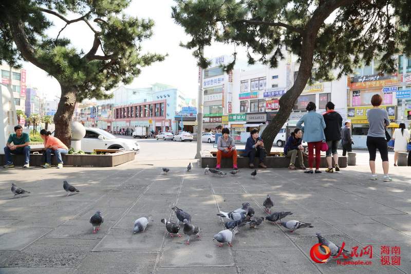 濟(jì)州島街景：這里沒(méi)有高樓大廈（高清組圖）