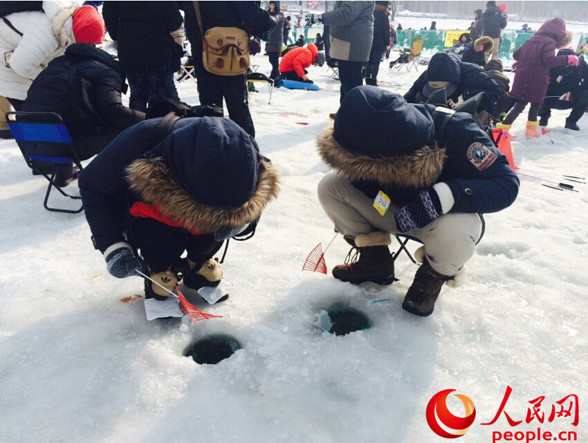 韓國三大冬季節(jié)日之一“平昌鱒魚節(jié)”20日開幕（組圖）