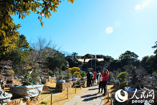 春節(jié)赴韓旅游好去處——統(tǒng)營長蛇島海上公園【高清組圖】