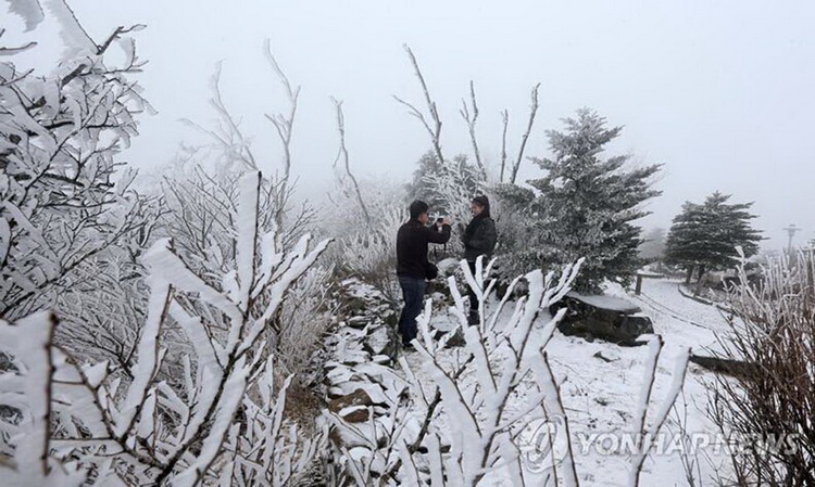 四月飄雪 韓國江原道春寒料峭(高清組圖)