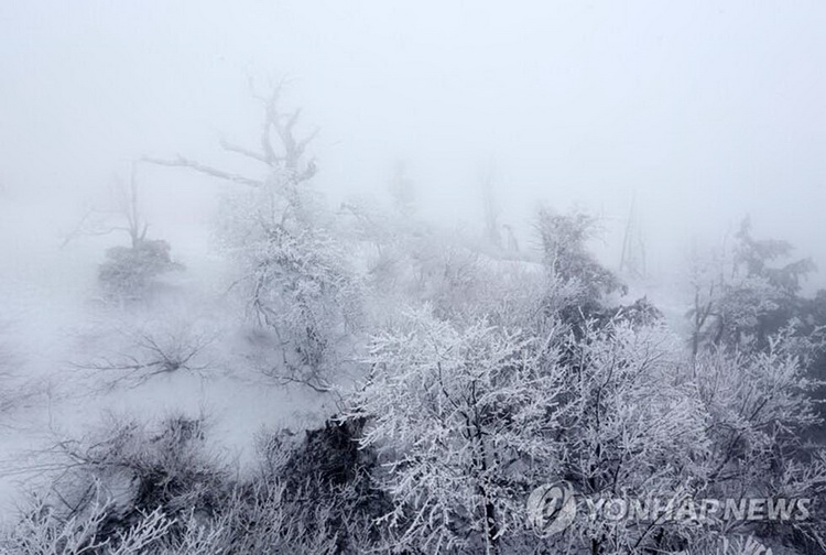 四月飄雪 韓國江原道春寒料峭(高清組圖)