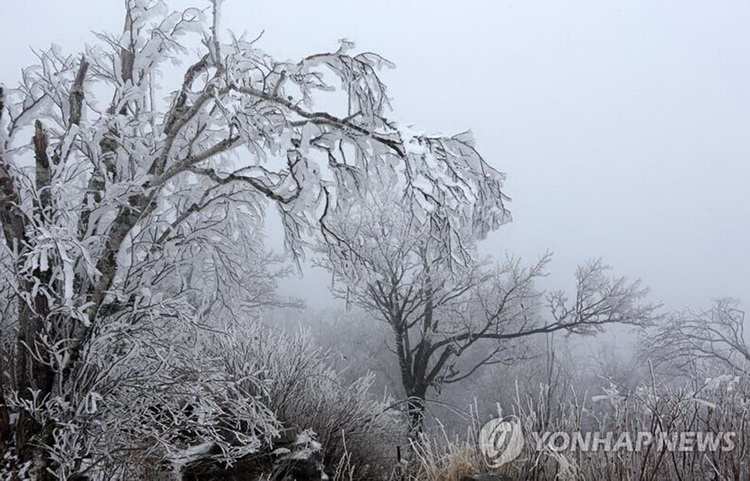 四月飄雪 韓國江原道春寒料峭(高清組圖)