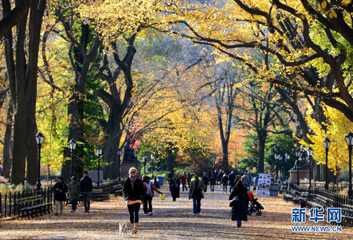 韓國日本美國 跟著秋季美景去各國旅行【組圖】