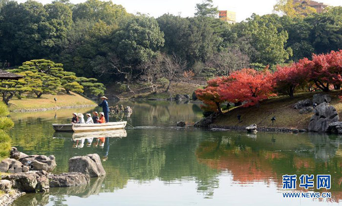 韓國日本美國 跟著秋季美景去各國旅行【組圖】