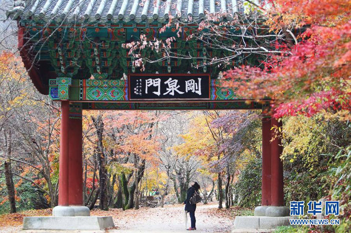 韓國日本美國 跟著秋季美景去各國旅行【組圖】