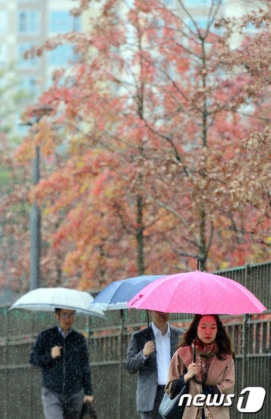 韓國首爾地區(qū)迎來秋雨 楓葉美景秋意更濃【組圖】