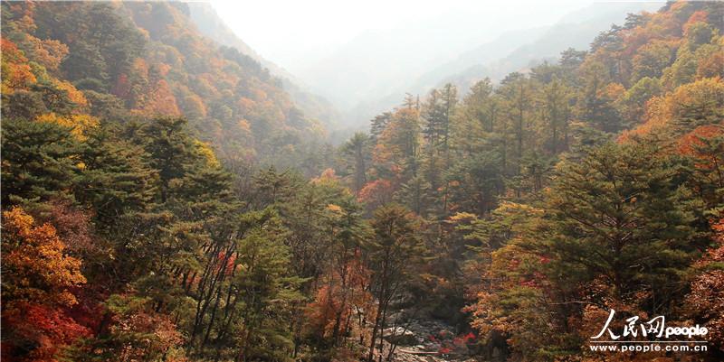 走進朝鮮妙香山-普賢寺-高麗成均館（組圖）