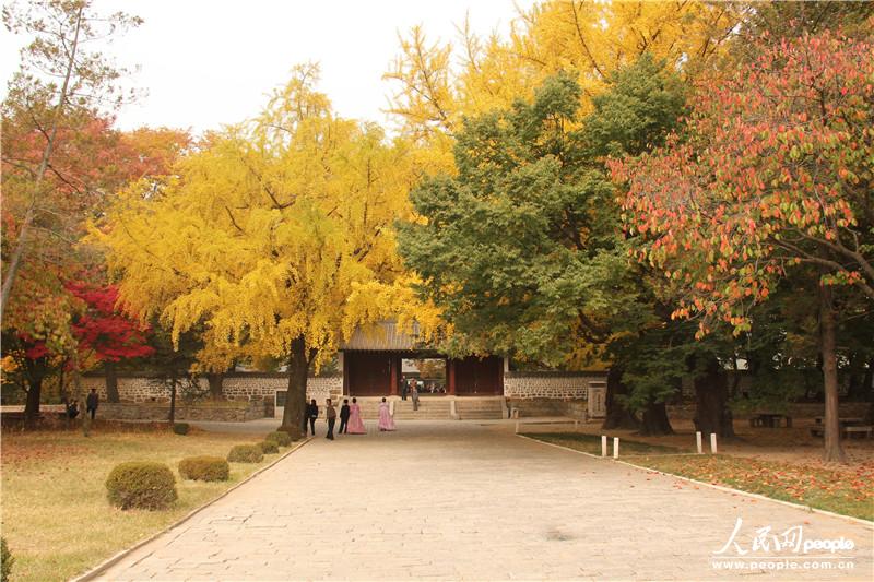 走進(jìn)朝鮮妙香山-普賢寺-高麗成均館（組圖）