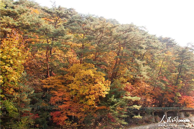 走進朝鮮妙香山-普賢寺-高麗成均館（組圖）