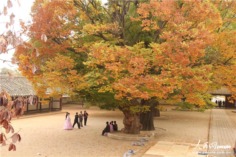 走進(jìn)朝鮮妙香山-普賢寺-高麗成均館（組圖）