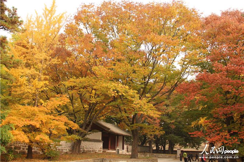 走進朝鮮妙香山-普賢寺-高麗成均館（組圖）