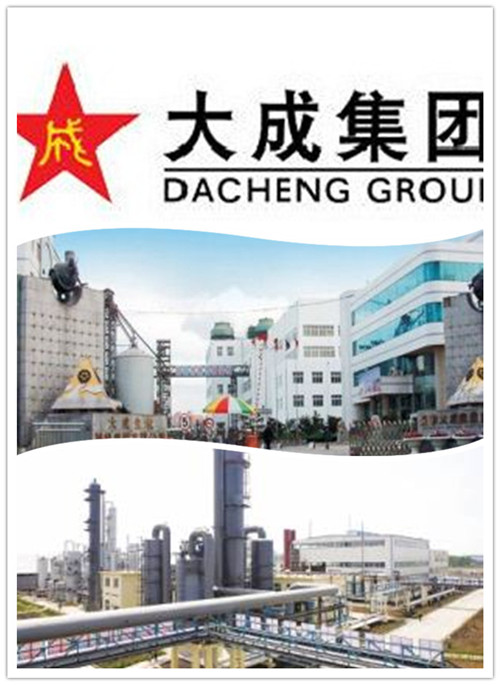 圖為長春大成集團工廠圖