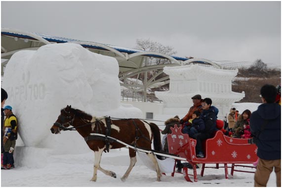 在雪花節(jié)現(xiàn)場(chǎng)盡情體驗(yàn)雪原馬車。不僅是孩子，也將大人們帶回了童年。